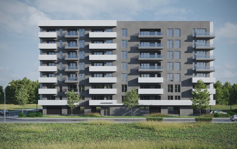 Intrarea principală și zona verde