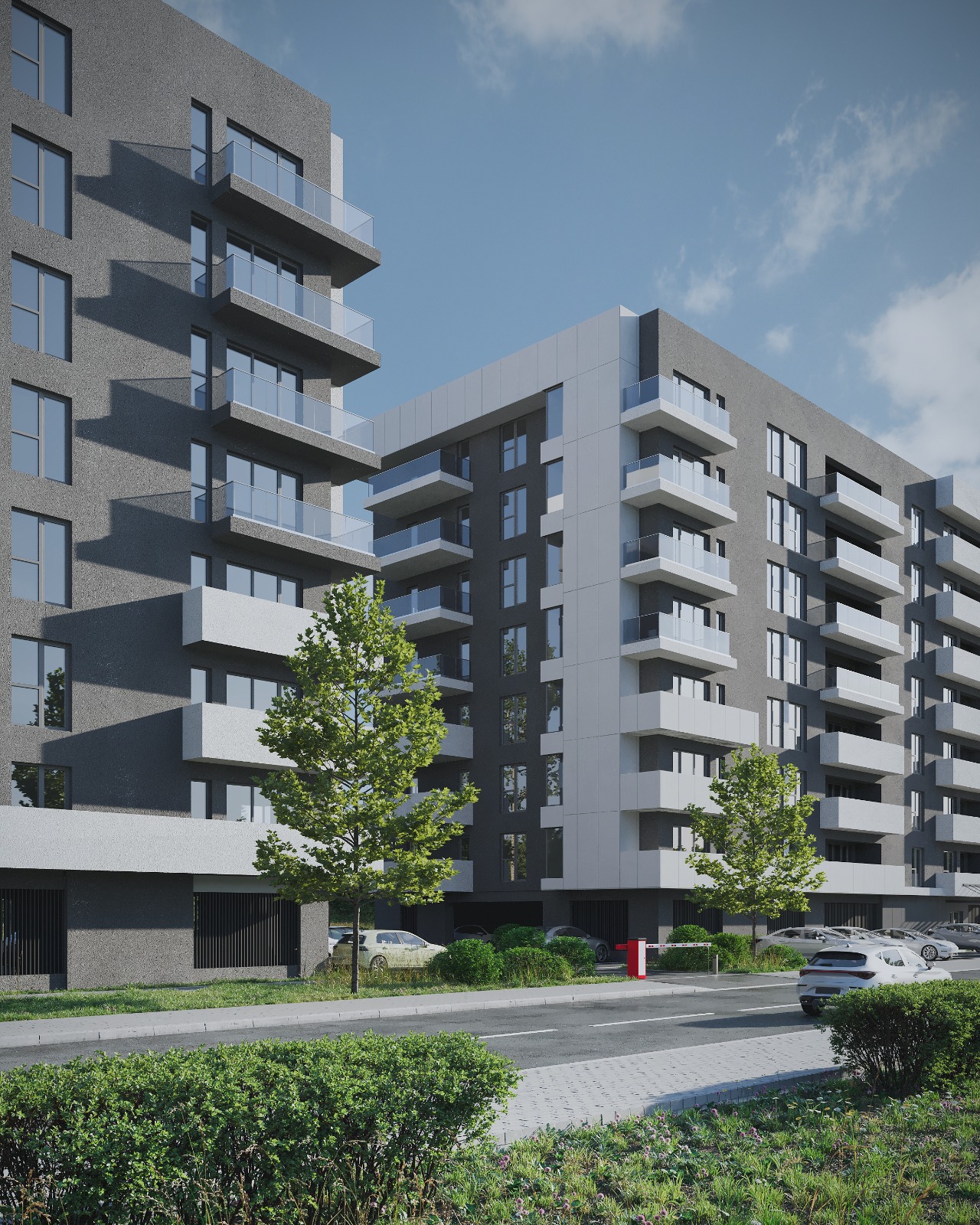 WhatsApp Image 2026-01-10 at 11.37.24 (1)